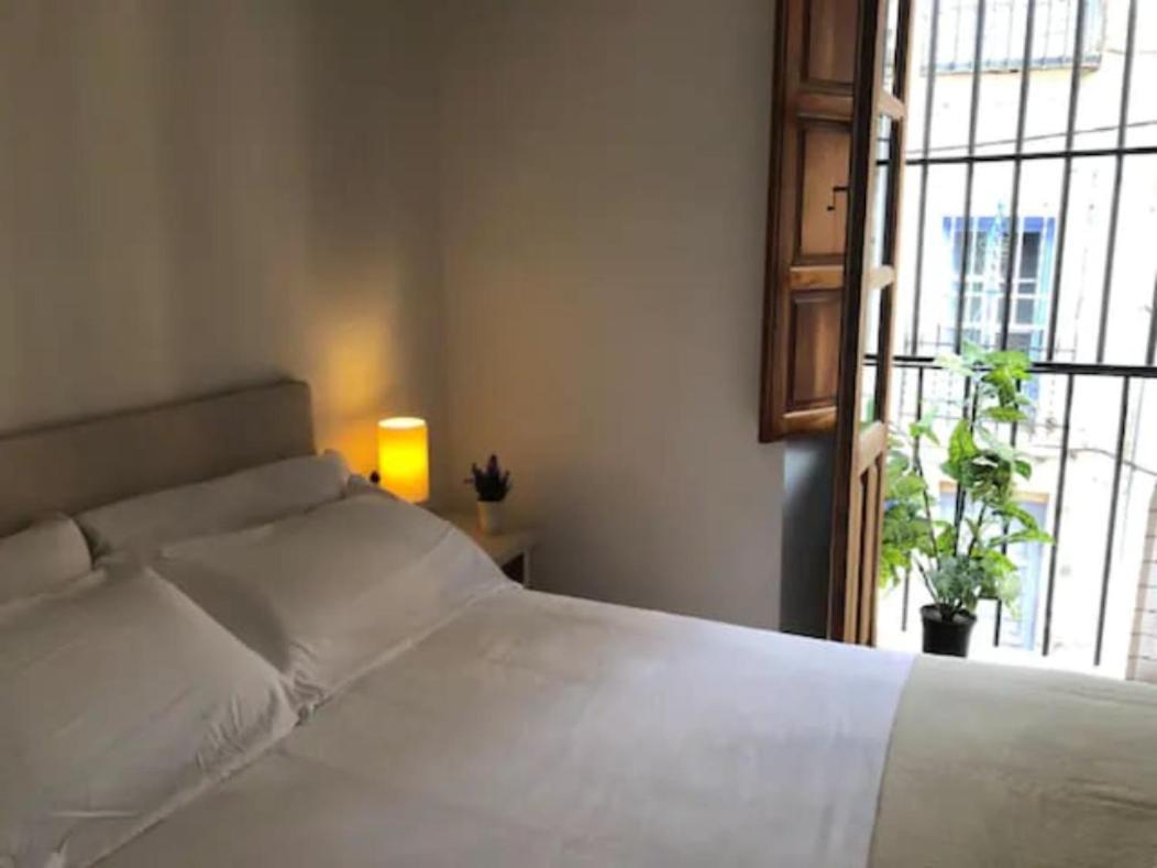 Apartment Completo Reformado En Arco De Elvira - Centro *